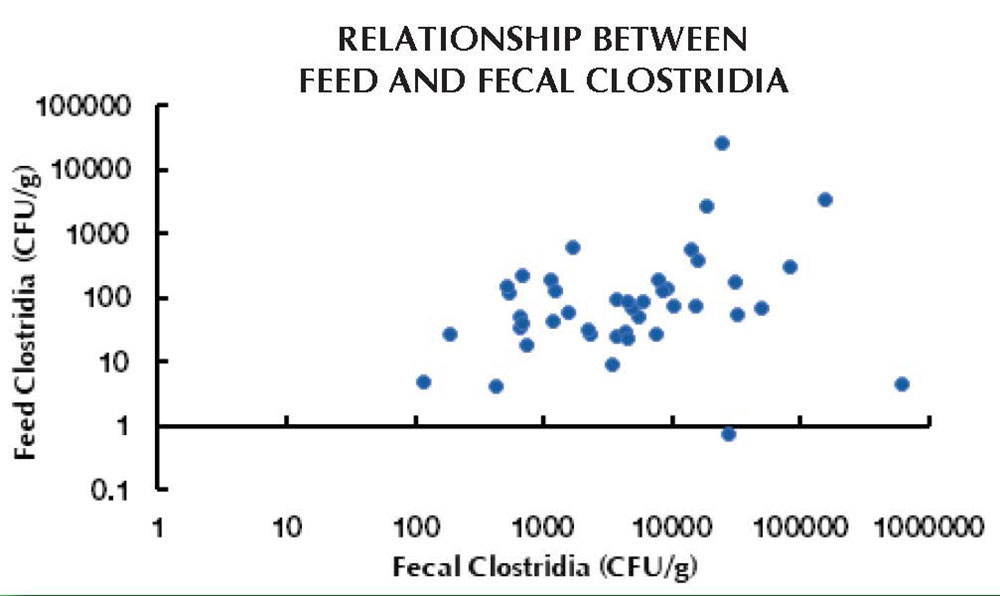 Feed vs Feces Chart