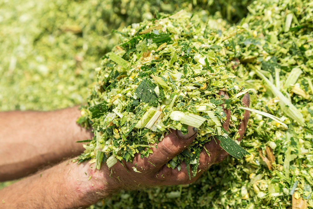 Silage