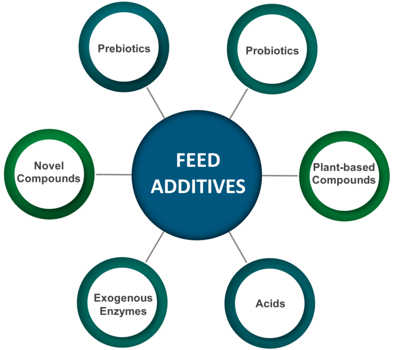 PAC Facts What Are Feed Additives For Dairy Cows Papillon pac-facts-what-are-feed-additives-for-dairy-cows-papillon