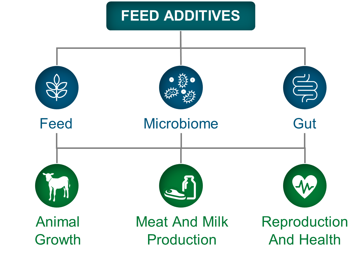 Feed Additives chart