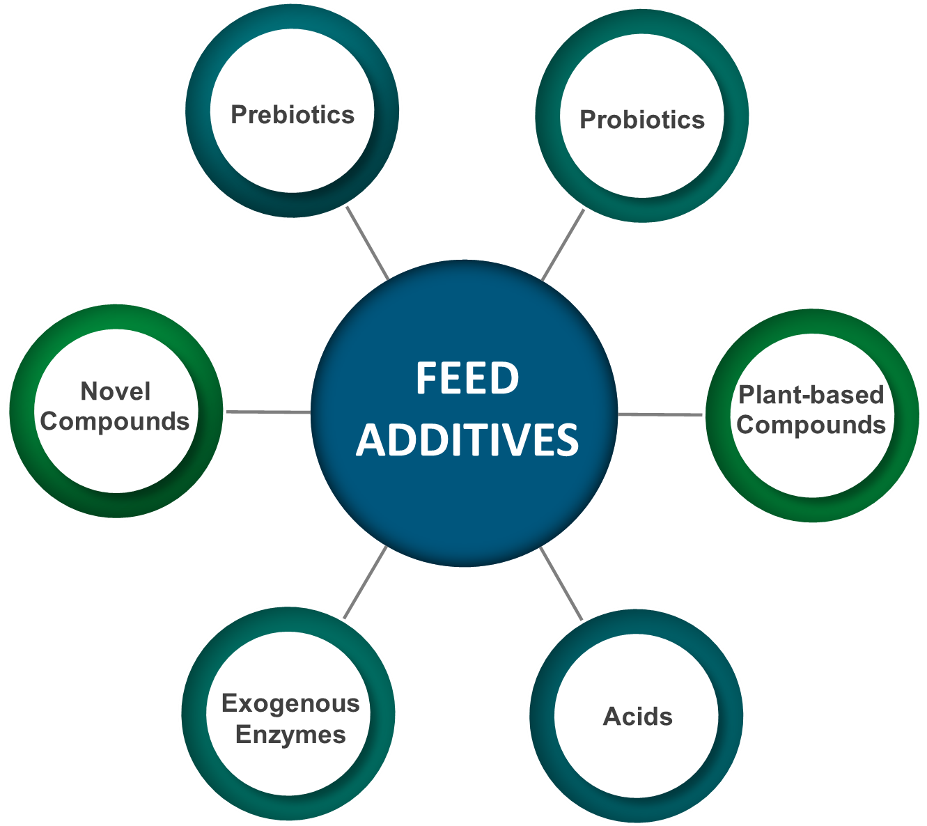 Feed Additives chart