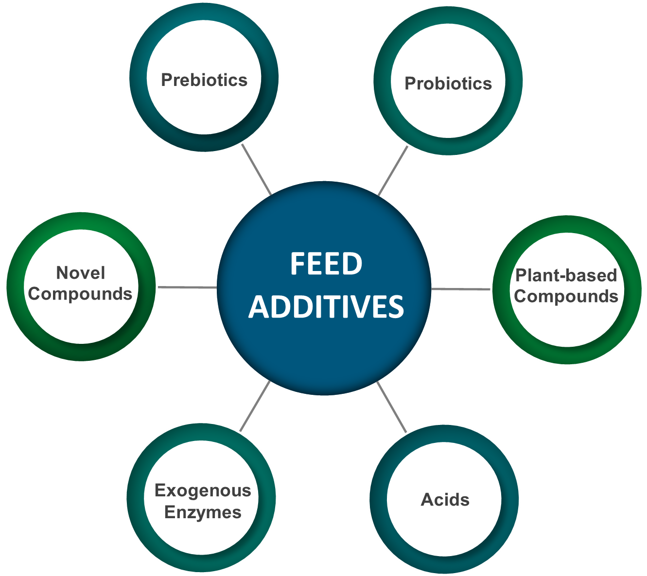 Feed Additives