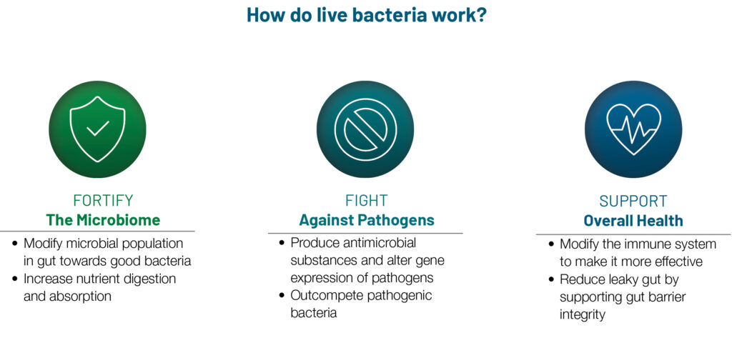 Live Bacteria MOA