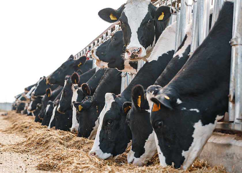 FeatureImage_840x600