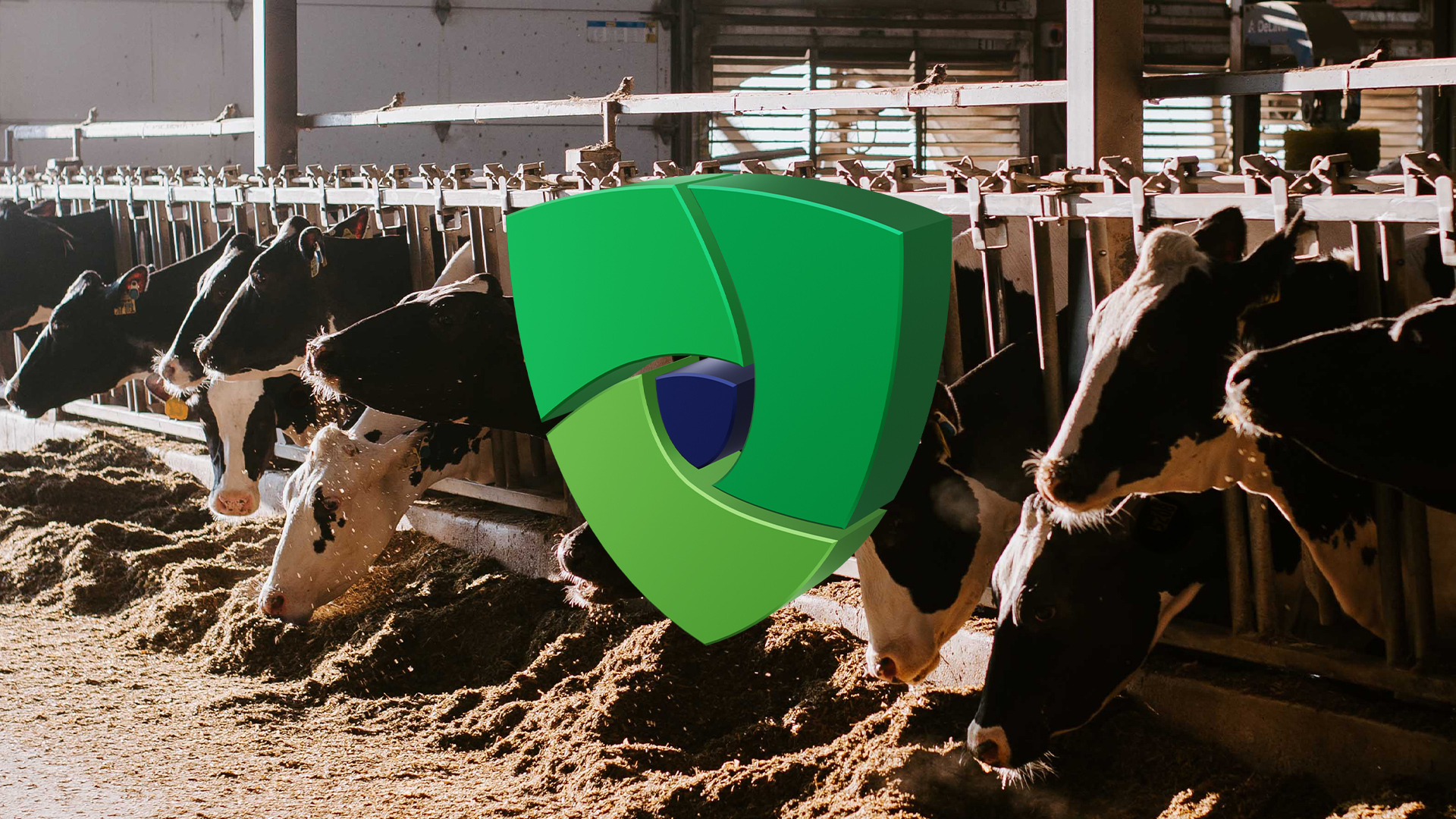 ExceleneBlog_1920x1080 (1)